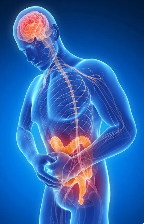 Chronic Abdominal and Visceral Pain