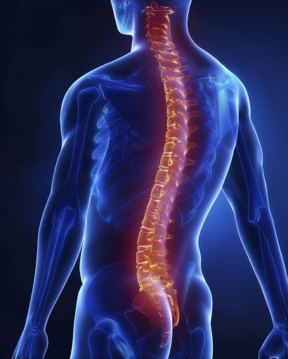Chronic Low Back Pain