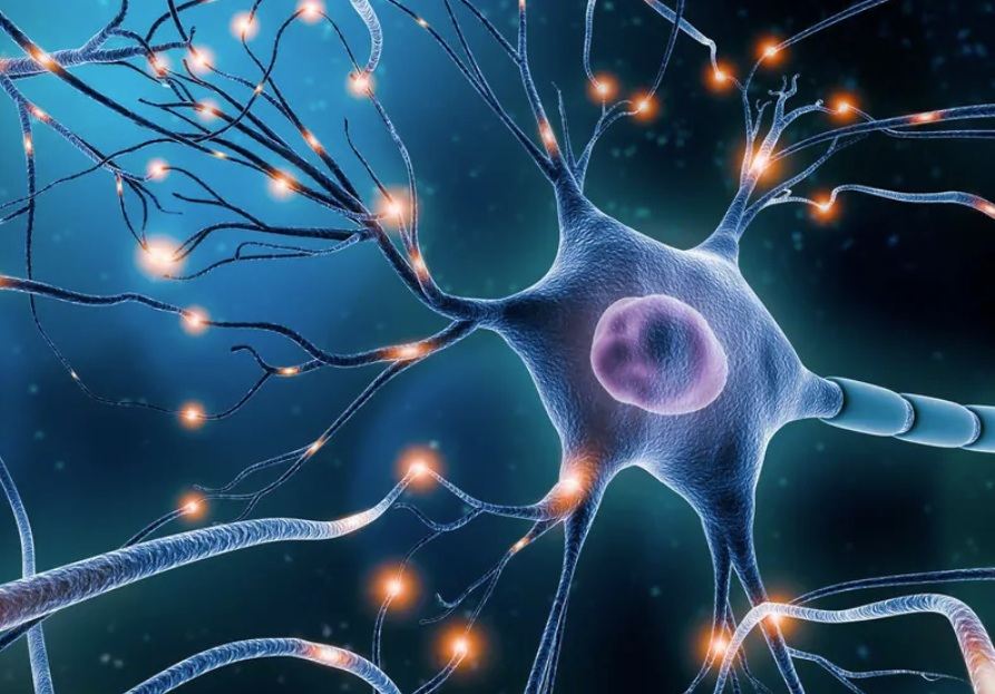 Neuropathic Pain