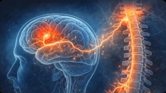 Understanding Chronic Pain