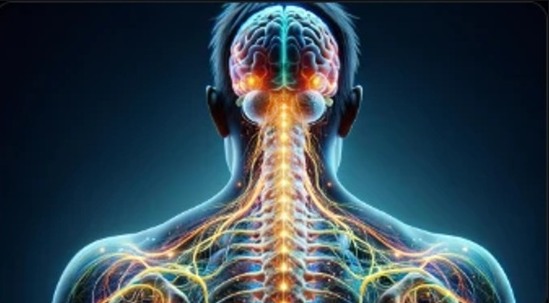 The Nervous System and Pain